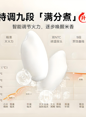 小米电饭煲N1节能版3升4L多功能