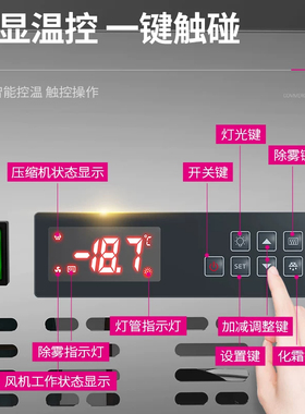 乐创商用速冻包子饺子速冻柜