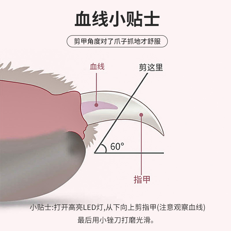 狗狗猫咪指甲剪指甲刀宠物专用指甲钳新手LED照血线修剪专用神器-图3