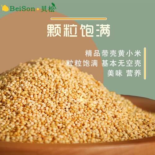 鹦鹉鸟粮饲料黄谷子带壳小米新粮食玄凤专用虎皮牡丹中小型鸟食 - 图1
