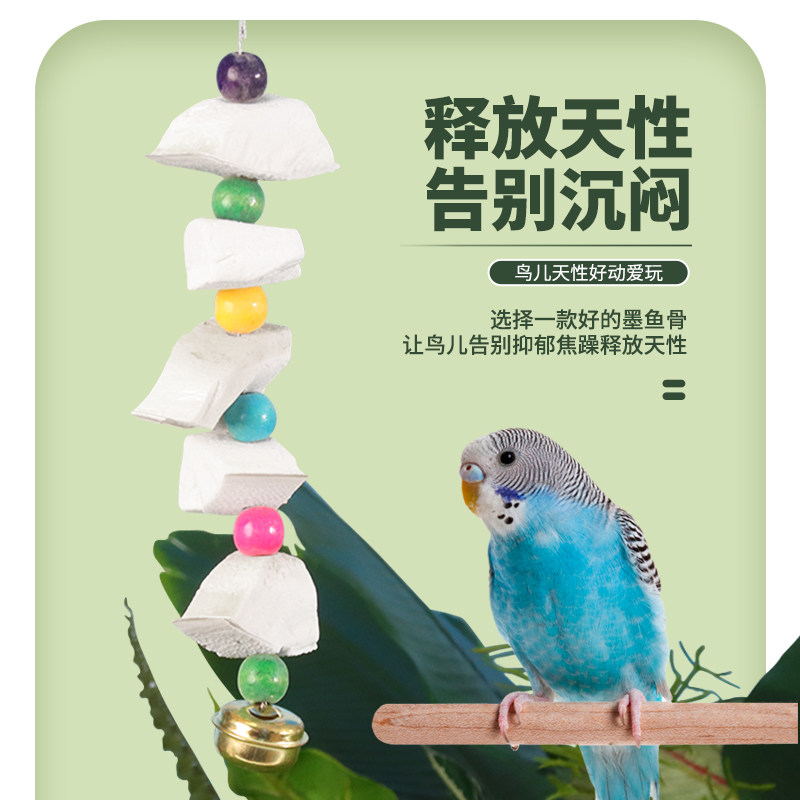墨鱼骨鹦鹉专用吊串高钙脱盐玄凤牡丹虎皮磨嘴磨爪啃咬玩具鸟用品,淘宝优惠券,粉丝福利购,淘宝优惠卷