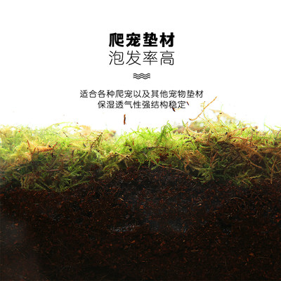 爬宠垫材保湿水苔苔藓乌龟冬眠爬虫蜥蜴蜘蛛角蛙造景青苔过冬用品 虎窝淘