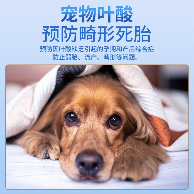 哈尼艾芙宠物叶酸口服液孕多宝猫狗怀孕营养品哺乳期叶酸孕期营养,淘宝优惠券,粉丝福利购,淘宝优惠卷