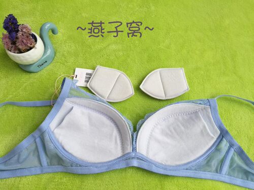 75C85C 兰卓丽30840704正品内衣蕾丝无钢圈薄棉杯文胸棉杯 - 图1
