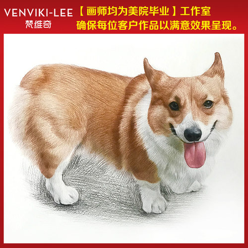 宠物画像定制狗狗肖像画头像照片纪念手绘素描画像彩铅代画原创 - 图1