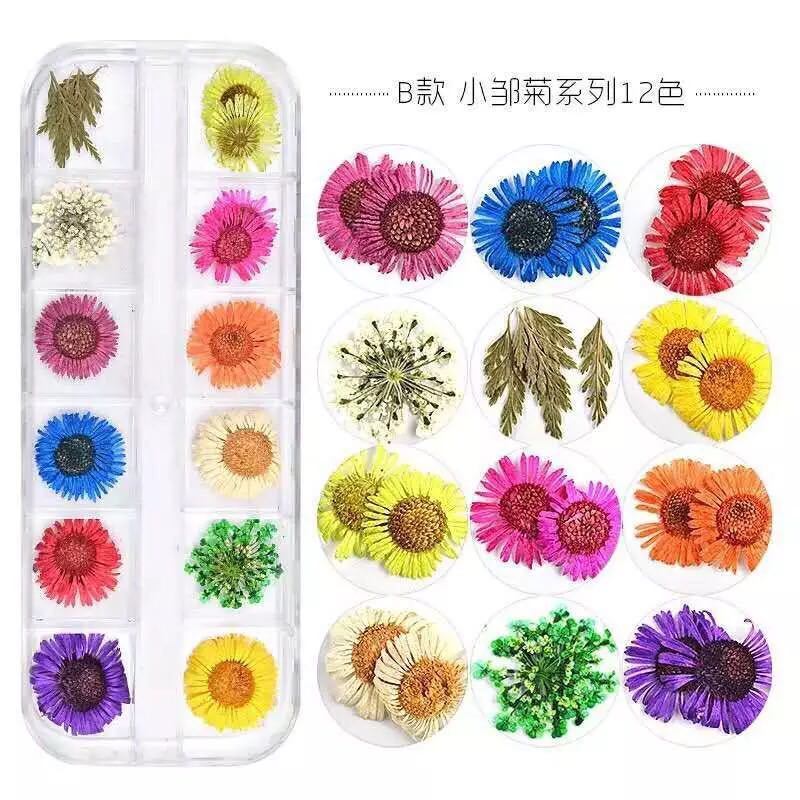 美甲干花饰品指甲花贴真花12色装饰雏菊日本小干花立体植物日系 - 图0