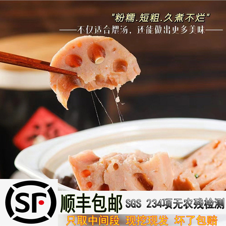 湖北洪湖莲藕煲汤粉藕新鲜现挖特产桂花糯米糖藕红连藕