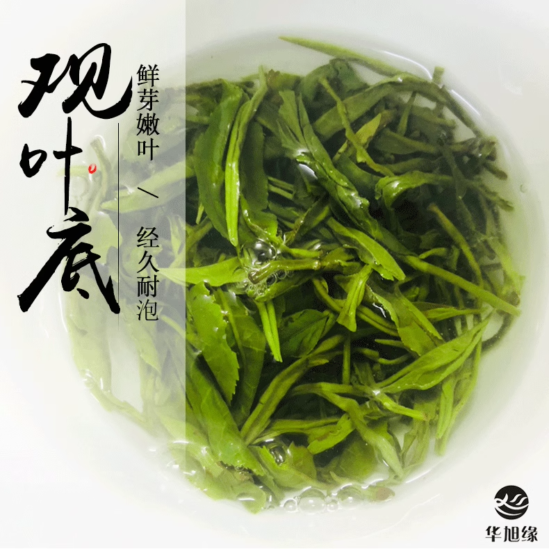 2024年春茶广西特产凌云白毫茶绿茶板栗清香回甘高山云雾好口粮茶 - 图2