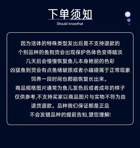 黄金眼镜蛇雷龙鱼凶猛热带鱼淡水鱼苗观赏鱼大型雷龙肉食性观赏鱼 - 图3