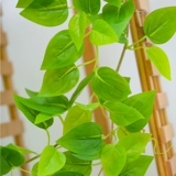 Моделирование зеленого растения Потолочное отделение