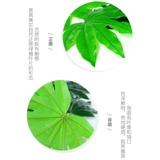 Моделирование золотой пансионы восьмиугольные фрукты магазин фруктов фрукты листья и растительные киоски продукты