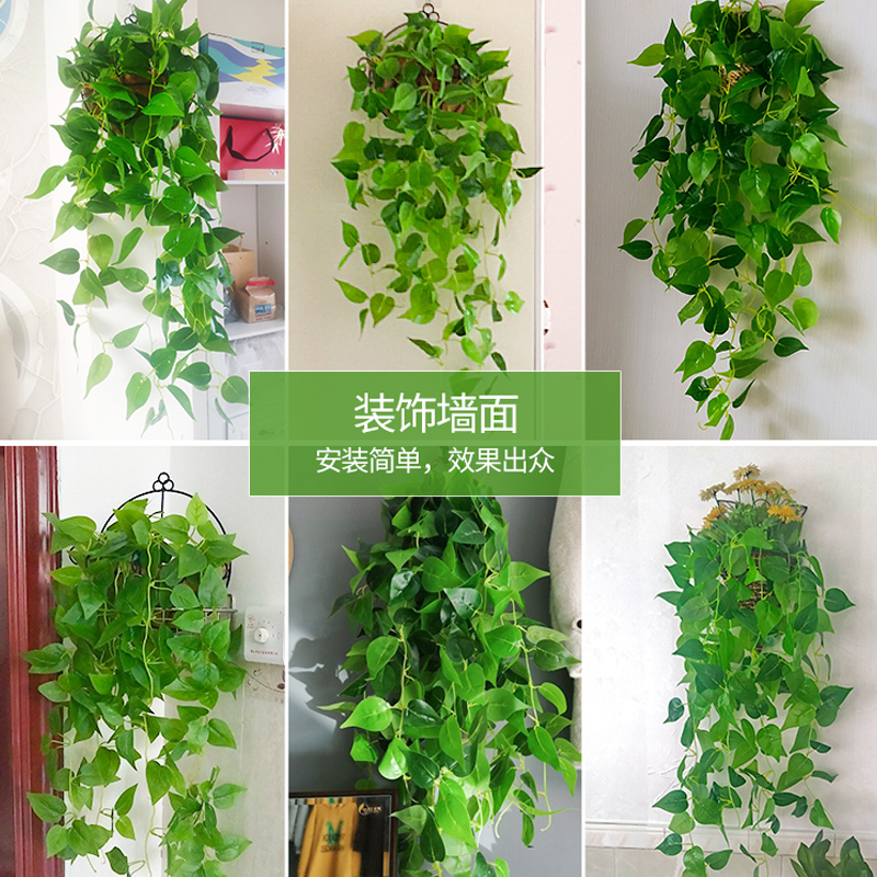 仿真绿萝客厅挂墙绿植壁挂植物装饰垂吊假花藤条室内藤蔓吊兰吊篮-图1