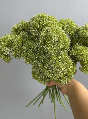 仿真葱球花 绿色雾凇果米仔小豆果 家居客厅插花摄影道具假花
