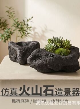 仿石头花盆水培器皿不规则家用水养水仙花绿植盆栽花器装饰品摆件