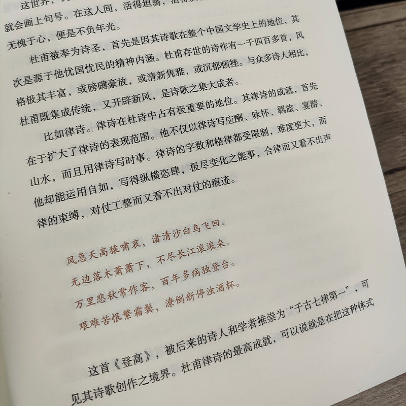 正版丨杜甫传:所有流浪都是归程 随园散人著  唐代现实主义诗人诗圣杜甫生平传记 与李白合称“李杜”  穿插部分诗词作品 文学家 - 图3