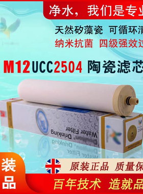 英国道尔顿原装陶瓷净水器滤芯