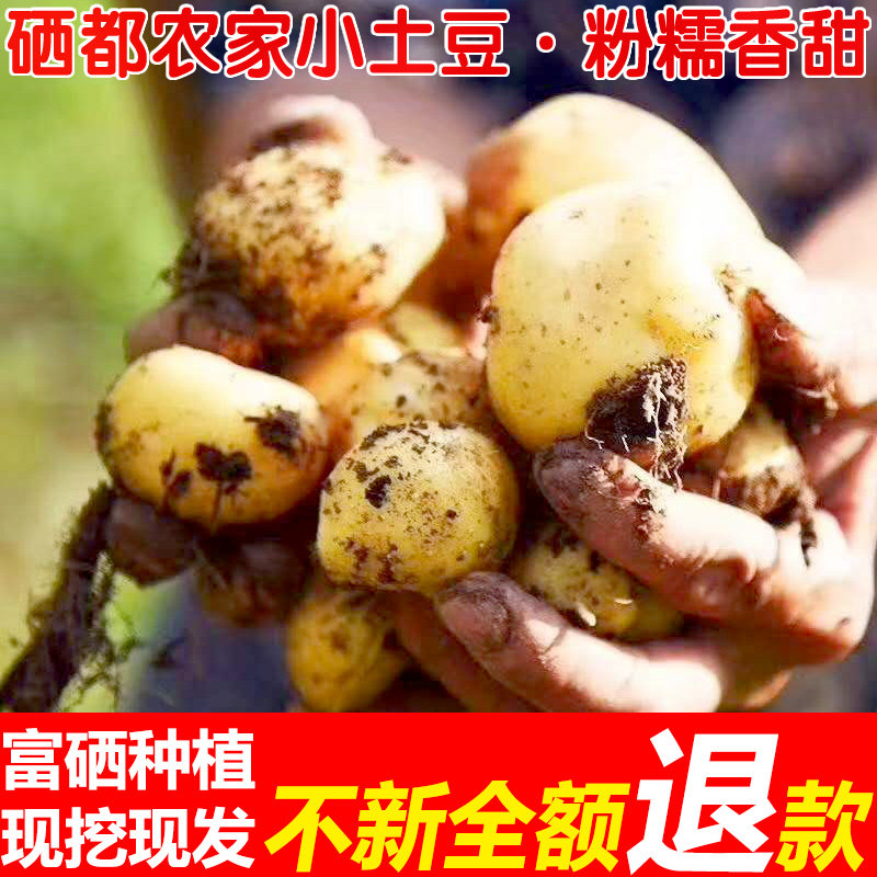 恩施富硒种植小土豆10斤现挖中等大小土豆当季新鲜蔬菜洋芋马铃薯,淘宝优惠券,粉丝福利购,淘宝优惠卷