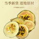 Fresh dried papaya slices 500g new arrival dried green papaya
