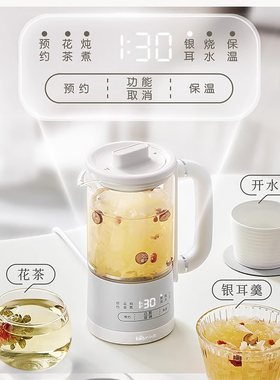小熊养生壶办公室mini花茶壶玻璃