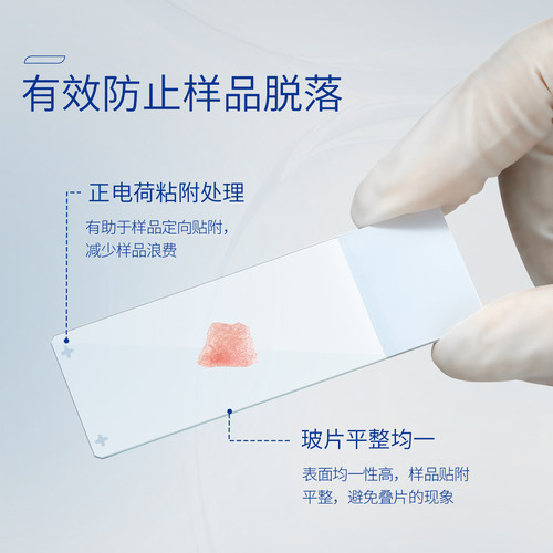 湘玻粘附载玻片病理级超白载玻片显微镜石蜡切片冰冻切片正电荷 - 图0