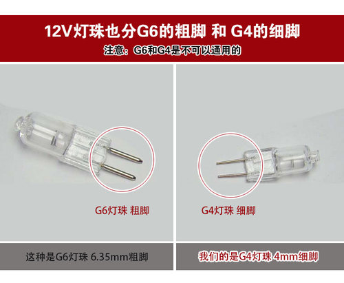12v20wG4灯珠10w卤素钨丝灯泡超亮暖光插细脚低压水晶灯吊灯射灯 - 图1