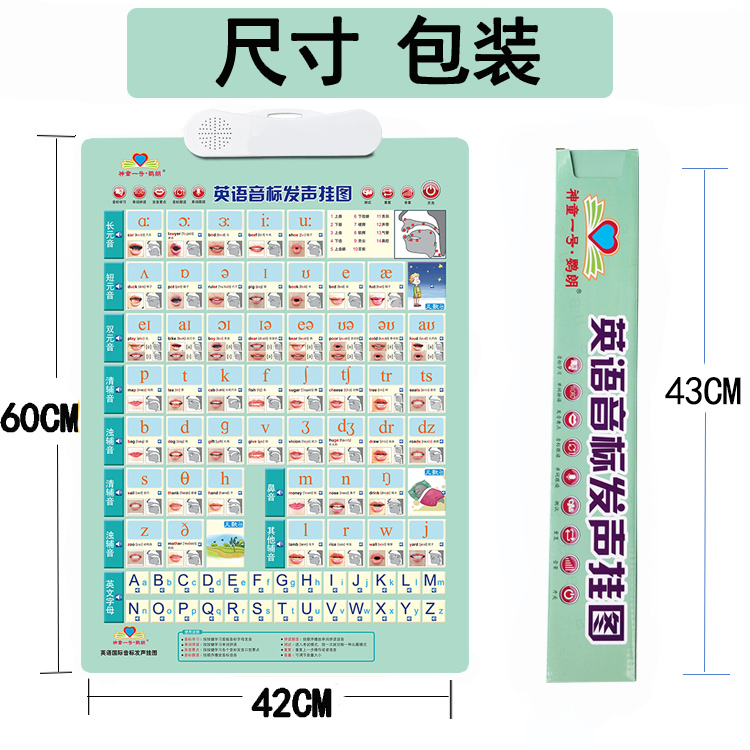 美式发音48个英语国际音标有声挂图小学初中生学单词自然拼读神器 - 图2