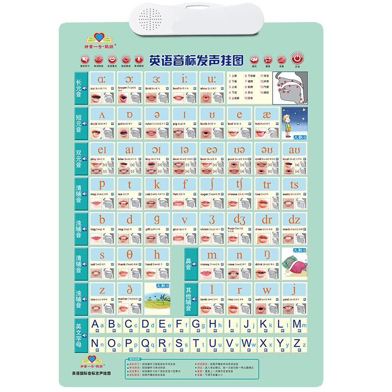 美式发音48个英语国际音标有声挂图小学初中生学单词自然拼读神器 - 图3