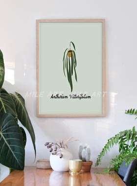 植物图谱INS小清新花卉绿叶子客厅卧室床头热植油画布画芯装饰画