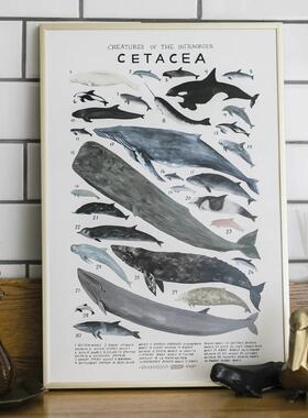 MILE ART艺术家Kelzuki动物王国海洋生物水彩海报鲸鱼海豚装饰画