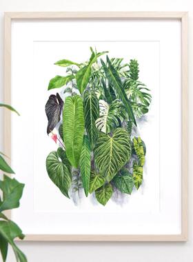 MILE ART龟背竹花烛画艺术小众海报北欧热带植物清新装饰画画芯