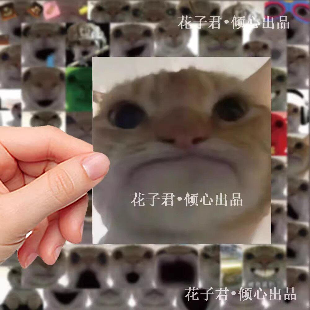 124张鼠鼠表情包贴纸飞宇哥发疯猫猫头表情包搞笑贴纸DIY可爱贴画
