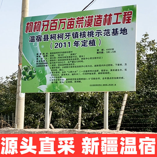 Ядра грецких орехов Wenjun Xinjiang в бумажной кожуре 500г свежие