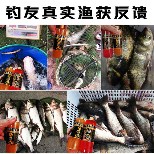 鲢鳙小药专用添加剂浮钓饵料窝料大头胖头雄花白鲢鱼诱鱼剂香精 - 图3