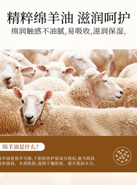 绵羊补水保湿护手霜梵贞