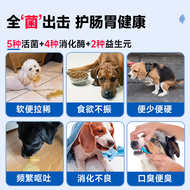 麦德氏益生菌猫咪肠胃调理幼猫呕吐拉稀便臭宠物专用猫益生菌20g,淘宝优惠券,粉丝福利购,淘宝优惠卷