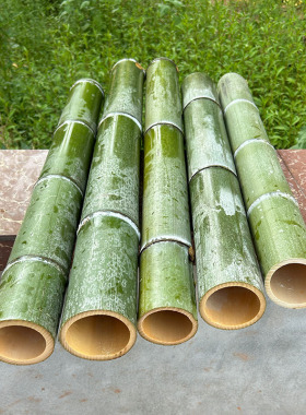 新鲜楠竹筒奶茶杯蒸饭筒笔筒竹材料现做竹筒竹竿造景摆件竹筒定制