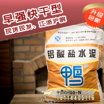 Strong High CA Acid 0 y50 Early 0 kg Refractory Cement 8 Salinity Fast Dry 2550 Type 13N Aluminum High Temperature Resistant