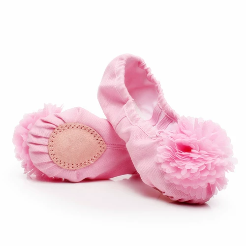 Туфли для детей и взрослых, спортивная обувь, балетки, мягкая подошва