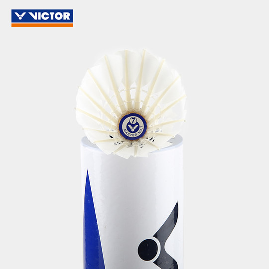 Víctor maestro de bádminton