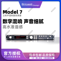 Bricasti Design Model 7 M7 Reverberator Effectors New National Line Spot