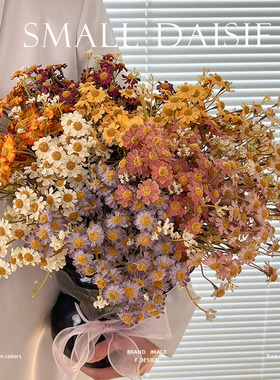 秋色长枝洋甘菊仿真花小雏菊摆花