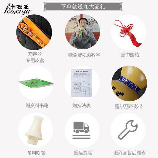 Кассия тыквы профессионального качества с семью и восемью лунками