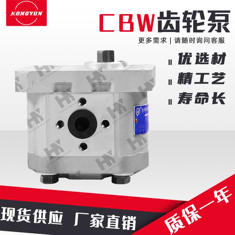 合肥长源液压齿轮泵CBW-F310/F316/F320油泵总成小型高压油泵大全 - 图2