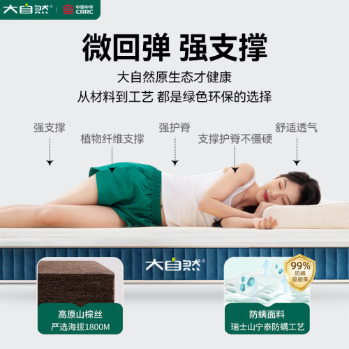 大自然棕床垫全山棕护脊椎棕榈双人1.8m1.5米硬棕垫全棕可定制 A7 - 图2