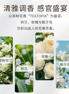 Kanebo佳丽宝晶透柔光蜜粉饼轻盈透明感限定紫色长效柔焦自然定妆