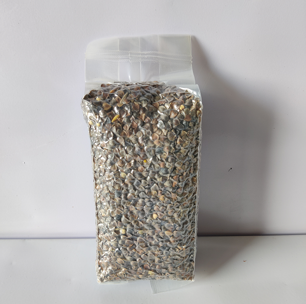 带壳荞麦信鸽观赏鸽 斑鸠鹦鹉鸟食仓鼠 龙猫粮食1件1斤真空装包,淘宝优惠券,粉丝福利购,淘宝优惠卷