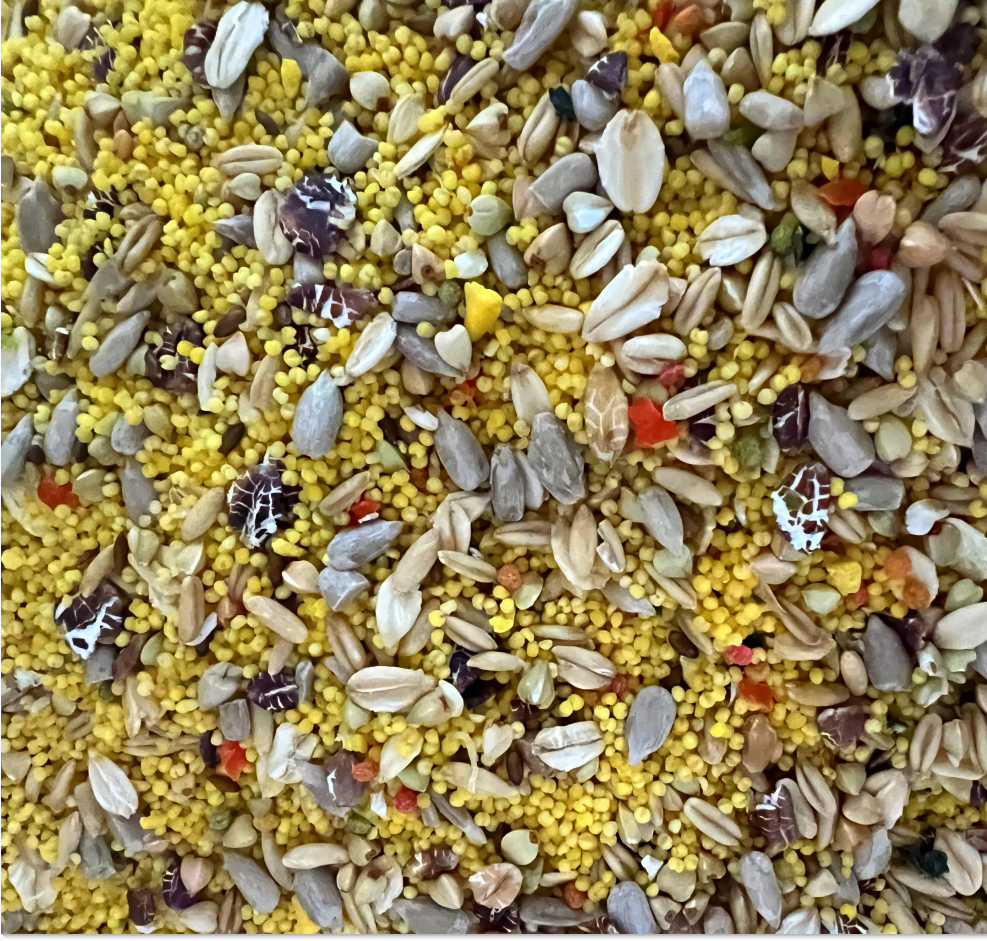 牡丹玄凤中小型无壳饲料去壳滋养丸混合鸟粮食真空谷子小米加纳,淘宝优惠券,粉丝福利购,淘宝优惠卷