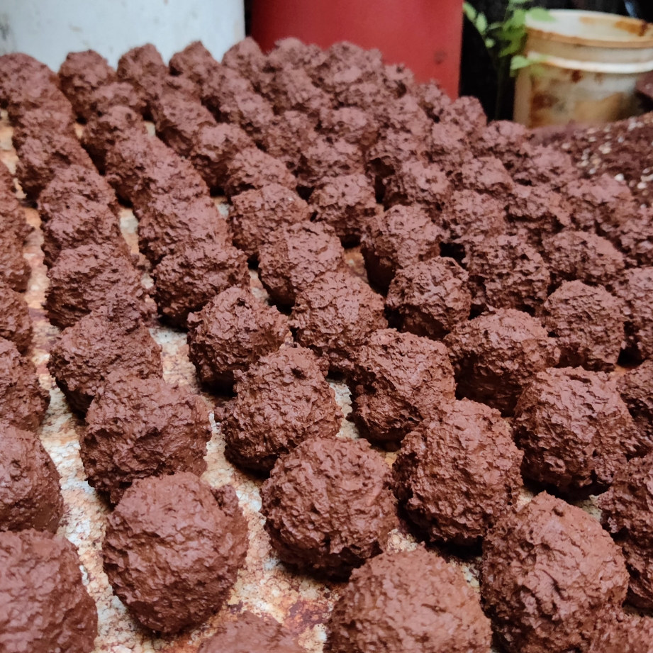 虎皮牡丹鹦鹉红土营养保健球保健沙促进繁殖微量元素矿物质维生素,淘宝优惠券,粉丝福利购,淘宝优惠卷