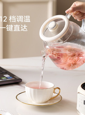 七彩叮当养生壶纯玻璃恒温家用多功能办公小型烧水壶煮炖煮花茶壶