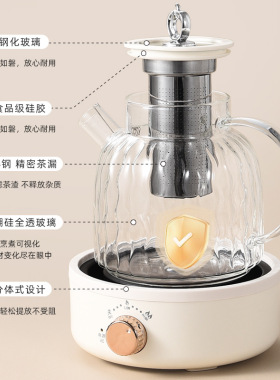 出口美标110V花茶壶全玻璃养生壶
